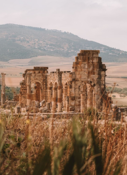 Visite guidée Volubilis