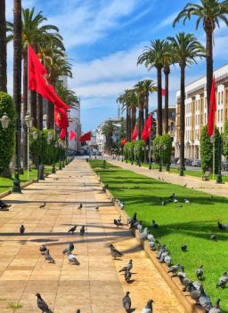 Day trip Fes to Rabat