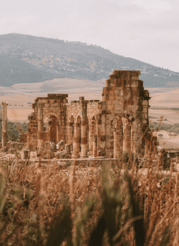 Visite guidée Volubilis