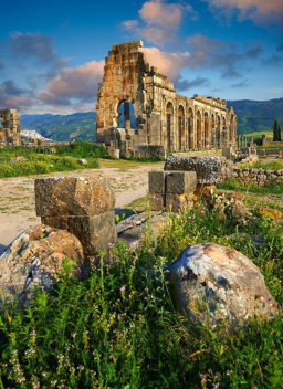 Excursion Fès Volubilis