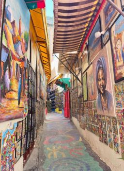 Médina de Fès , Medina de Fez